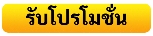 รับโปรโมชั่น